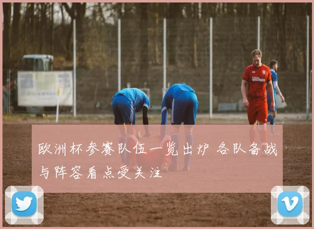 欧洲杯参赛队伍一览出炉 各队备战与阵容看点受关注