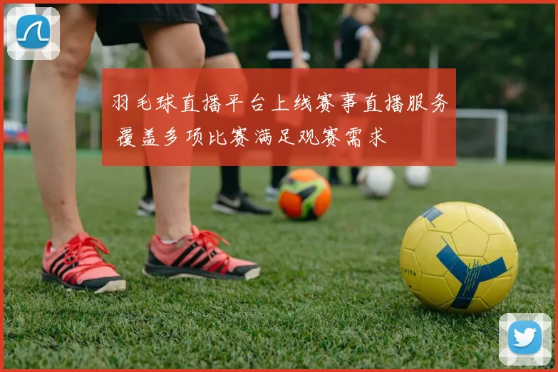 羽毛球直播平台上线赛事直播服务 覆盖多项比赛满足观赛需求