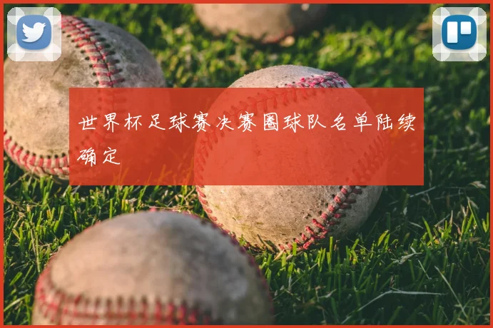 世界杯足球赛决赛圈球队名单陆续确定