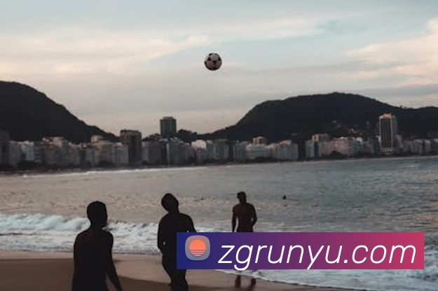 买球官方平台生态图